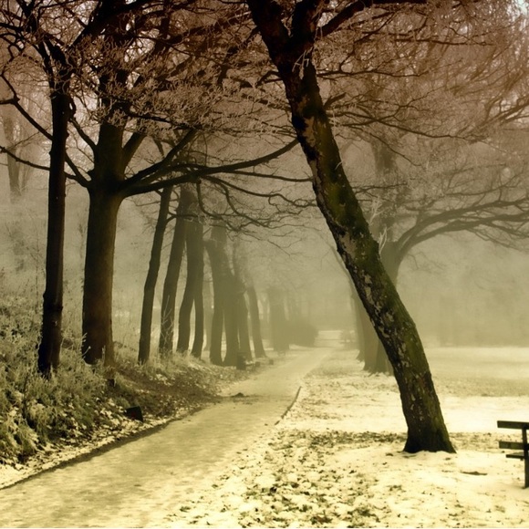 Happy Autumn into Winter!🌷 - Picture 1 of 16